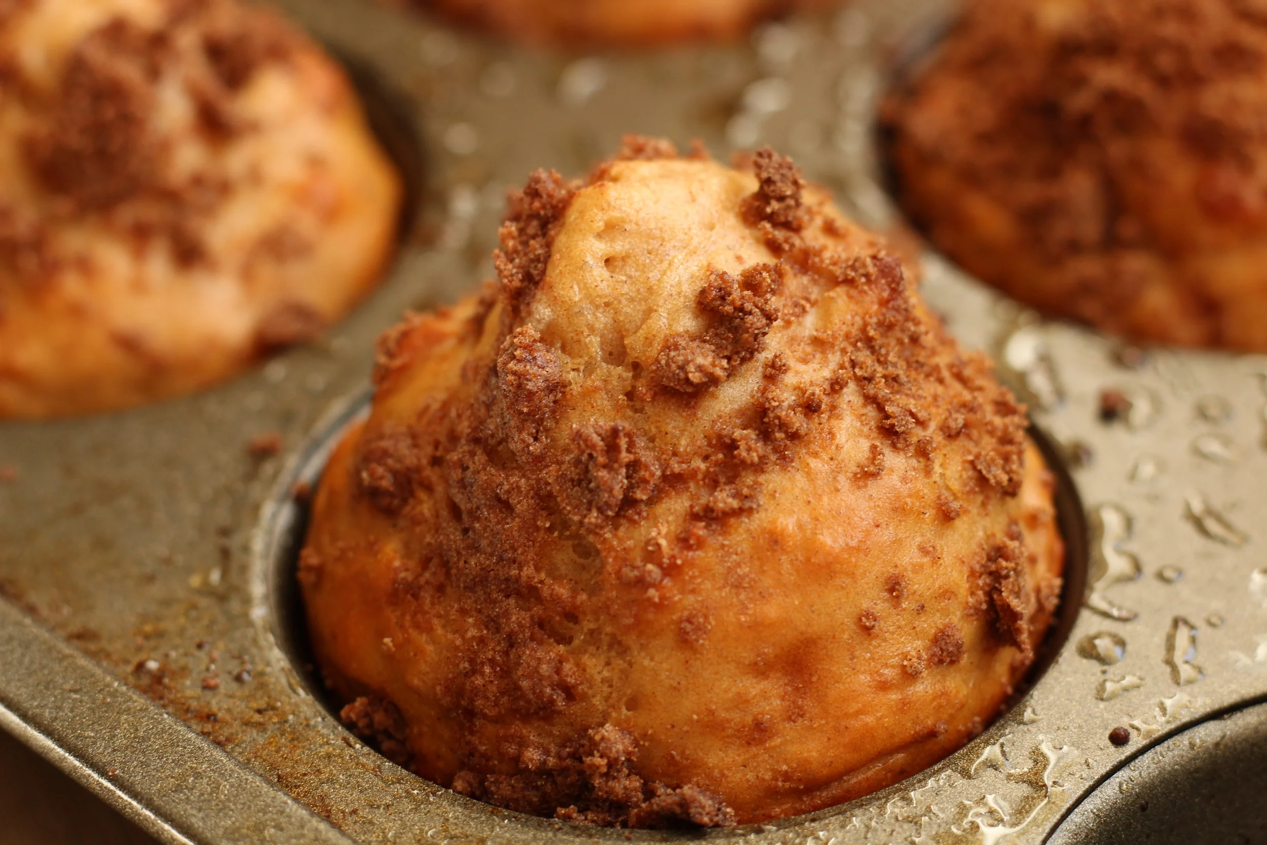 Coffee Cake Protein Muffins — My Engineered Nutrition